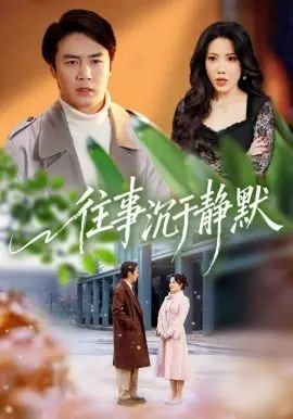 往事沉于静默 全集完结