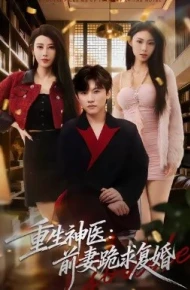 重生神医前妻跪求复婚