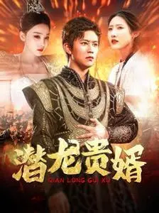 潜龙贵婿 第1-20集