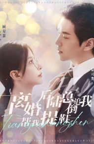 离婚后陆总倒追我帮我提鞋