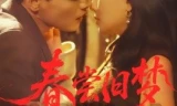 春尝旧梦