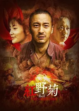 红野菊 HD国语