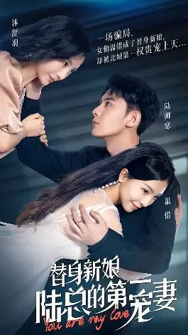 替身新娘:陆总的第一宠妻 全集完结