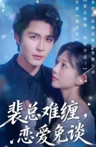 裴总难缠,恋爱免谈