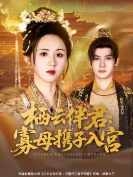 栖云伴君：寡母携子入宫 第01集