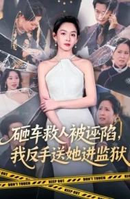 砸车救人被诬陷,我反手送她进监狱