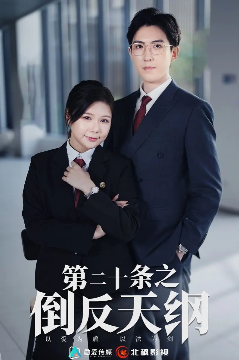 第二十条之倒反天纲 第1-20集