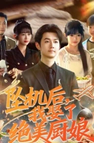 坠机后我娶了绝美厨娘
