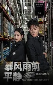 暴风雨前的平静 全集