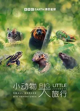 小动物大旅行第一季 第01集
