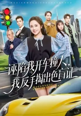 诬陷我开车撞人,我反手掏出色盲证 第01集