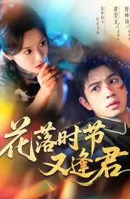 花落时节又逢君