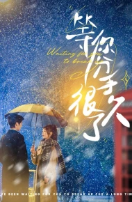 等你分手很久了