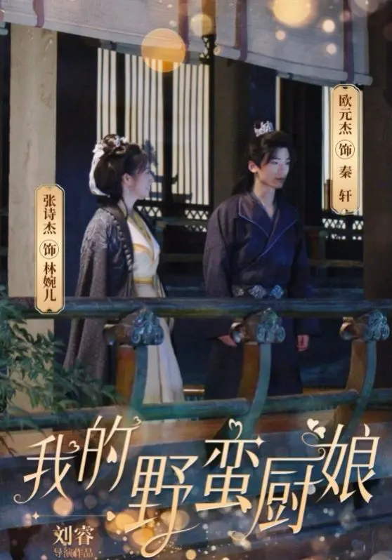 我的野蛮厨娘 第1-20集