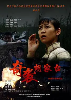 奇袭胡家台 HD国语