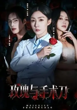 玫瑰与手术刀 全集完结