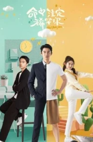 命中注定稀罕你