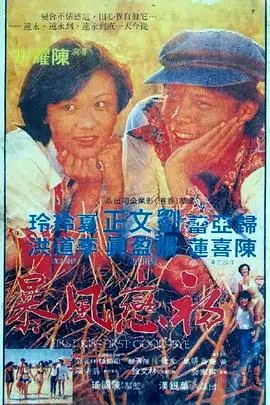 初恋风暴 HD国语