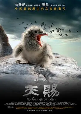 天赐 正片