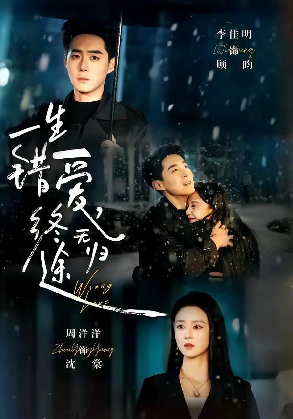 一生错爱,终无归 全集完结