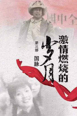 激情燃烧的岁月3 第1集