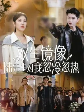 双生镜像陆先生对我忽冷忽热 第01集