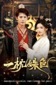 一枕姝色