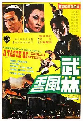 武林风云 HD国语