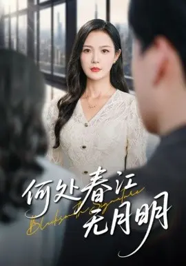 何处春江无月明 第1集