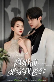 离婚前魂穿我老公