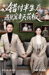 错付半生后，遇见宠妻天花板