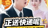 正送快递呢,被帮派大小姐拉去闪婚