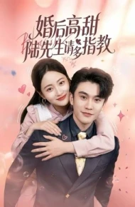 婚后高甜：陆先生请多指教