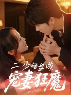 二少接盘成宠妻狂魔 合集