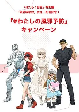 工作细胞特别篇:感冒国语版 第1集