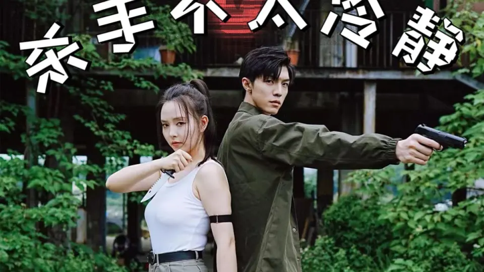 唐人街杀手不太冷静 第1-20集完结