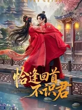恰逢回首不识君 全集完结