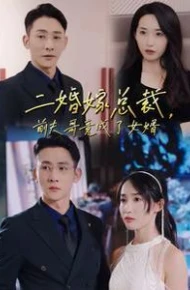 二婚嫁总裁前夫哥竟成了女婿