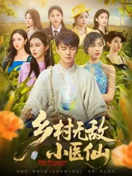 乡村无敌小医仙 第01集