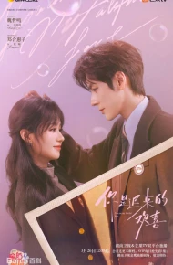 你是迟来的欢喜（2026）