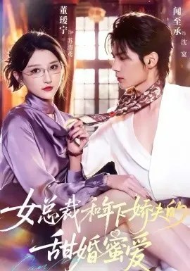 女总裁和年下娇夫的甜婚蜜爱 第01集