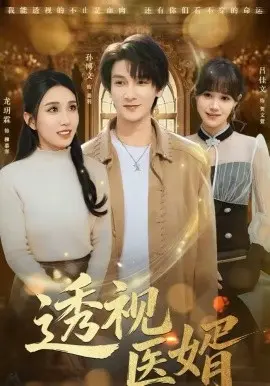 透视医婿 第01集