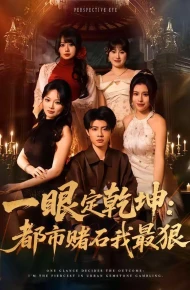 一眼定乾坤：都市赌石我最狠