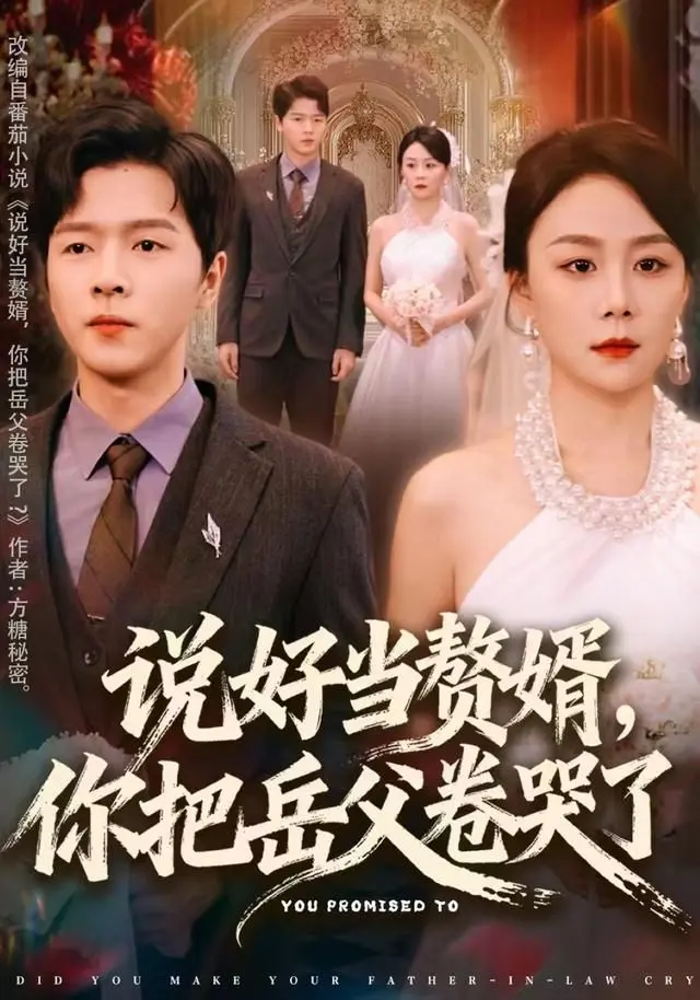 说好当赘婿，你把岳父卷哭了 全集完结