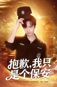 抱歉，我只是个保安