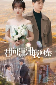 君向潇湘我向秦