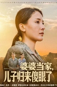 婆婆当家，儿子归来傻眼了