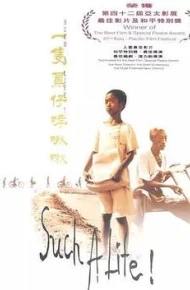 一只鸟仔哮啾啾