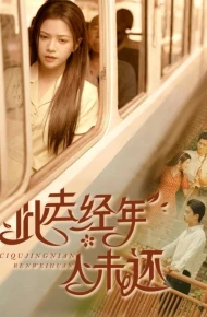 此去经年人未还