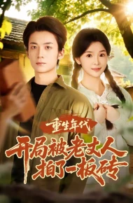 重生年代开局被老丈人拍了一板砖